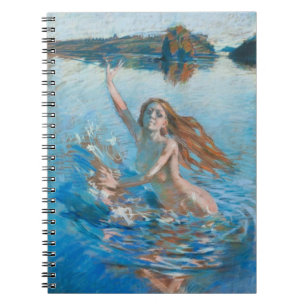 Le carnet Aino de Gallen-Kallela