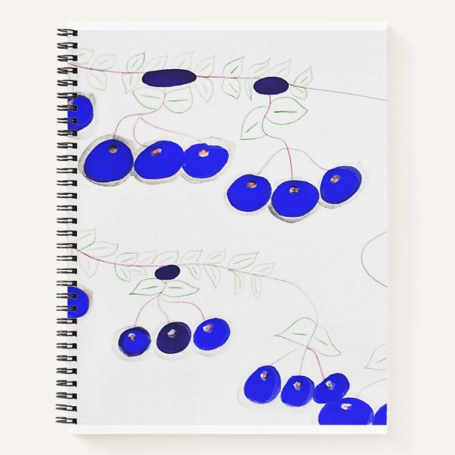 Le carnet aux bleuets (Devant)