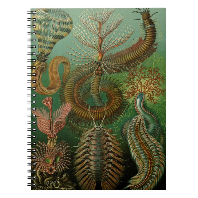 Le Carnet Chaetopoda de Haeckel (Devant)