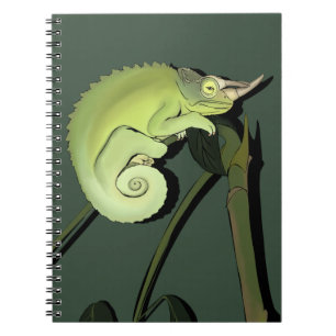 Le Carnet Chameleon de Jackson