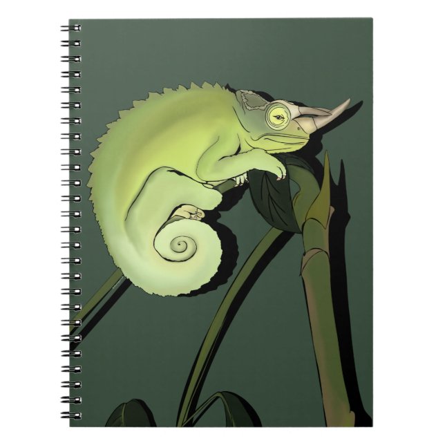 Le Carnet Chameleon de Jackson (Devant)