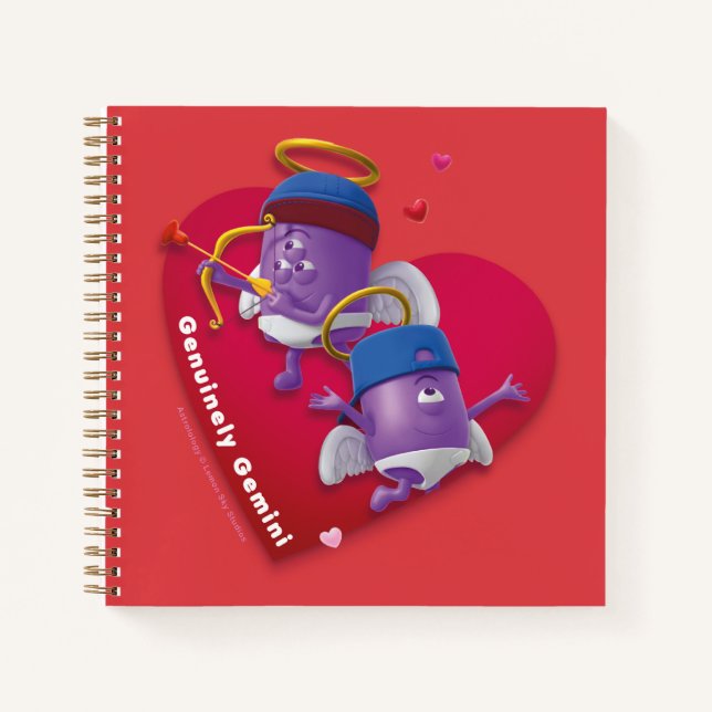Le Carnet de Saint Valentin pour Gemini (Devant)