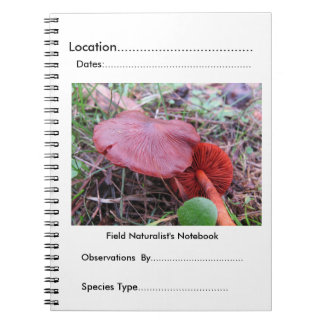 Le carnet du naturaliste de champ par FungiOz