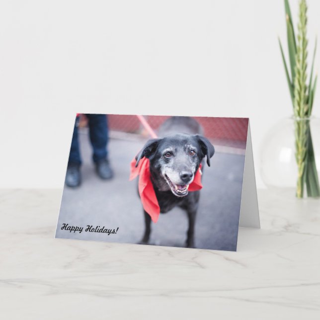 Le carte de fin de année "vacances chaudes (Devant)