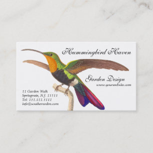 Le carte de visite de l'amant de colibri - coloré