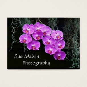 Le Carte de visite de Sue