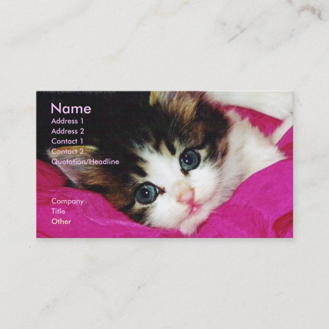 Le carte de visite du chaton le plus mignon du (Devant)