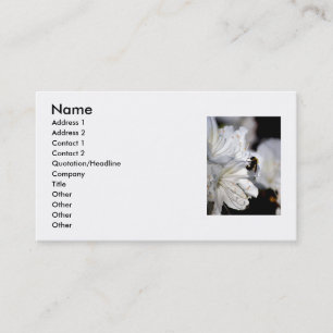 Le carte de visite du photographe