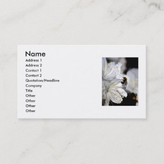 Le carte de visite du photographe