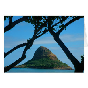 Le casquette du Chinois, Oahu