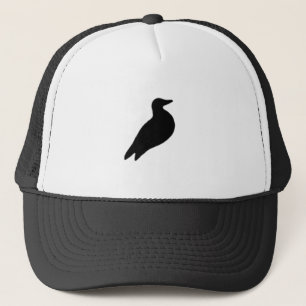Le casquette d'une colombe