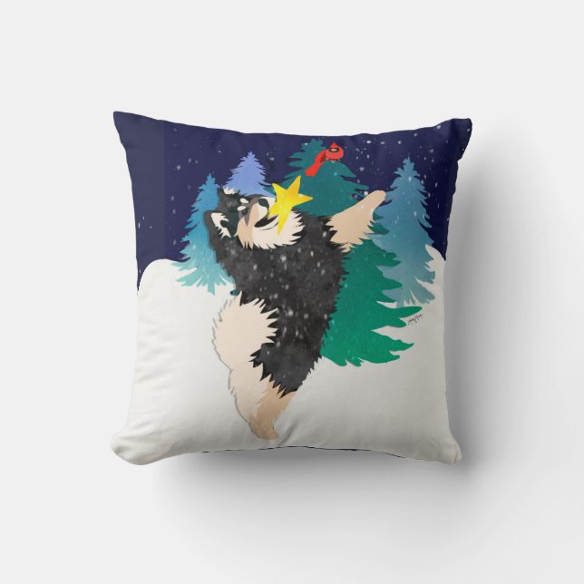 LE CELESTIEL - LAPHONIE FINLANDAISE - Coussin (Recto)