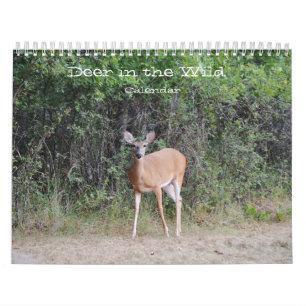Le cerf dans le calendrier photographique sauvage