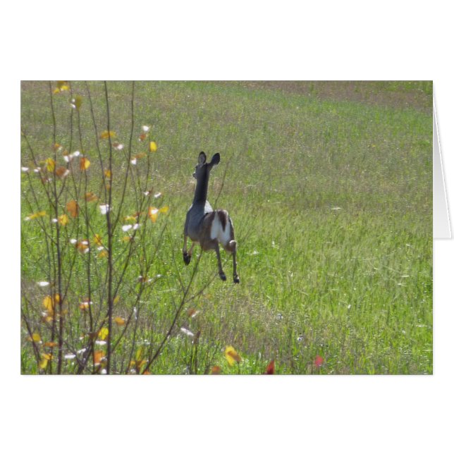 Le cerf saute (Devant horizontal)