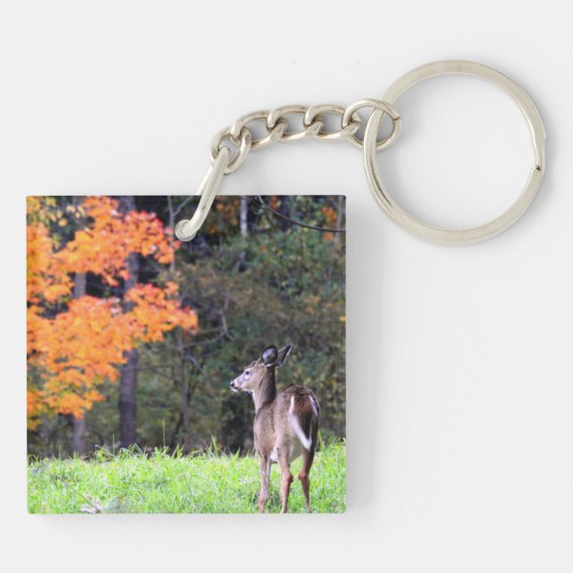 Le cerf sur le terrain (Dos)