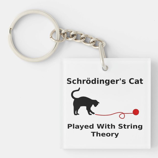 Le chat de Schrödinger joué avec la théorie de (Devant)