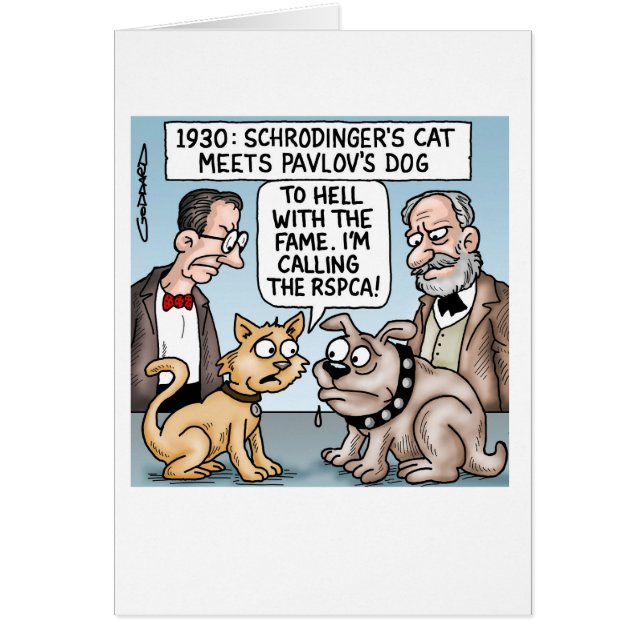 Le chat de Schrodinger rencontre le chien de Pavlo (Devant)
