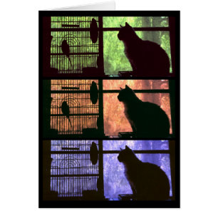 Le chat et l'oiseau - Carte