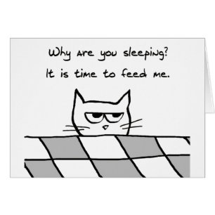 Le chat fâché vous veut hors du lit