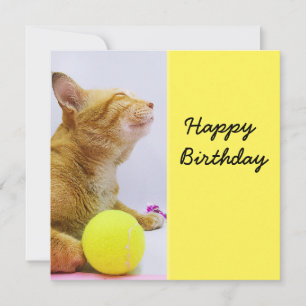 Le chat joue à la carte d'anniversaire de balle de