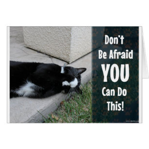 Le chat mignon n'ont pas peur