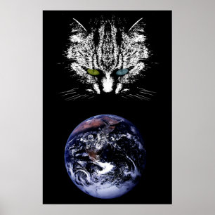 Le chat Tabby - Maître de l'Univers Poster