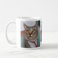Le chat tigré peut j'avoir une certaine tasse de