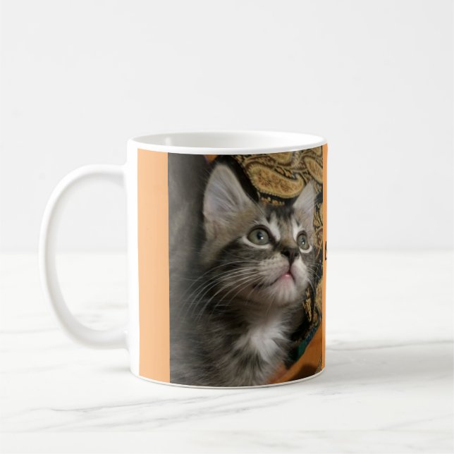 Le chaton "continuent à rechercher !" Tasse (Gauche)