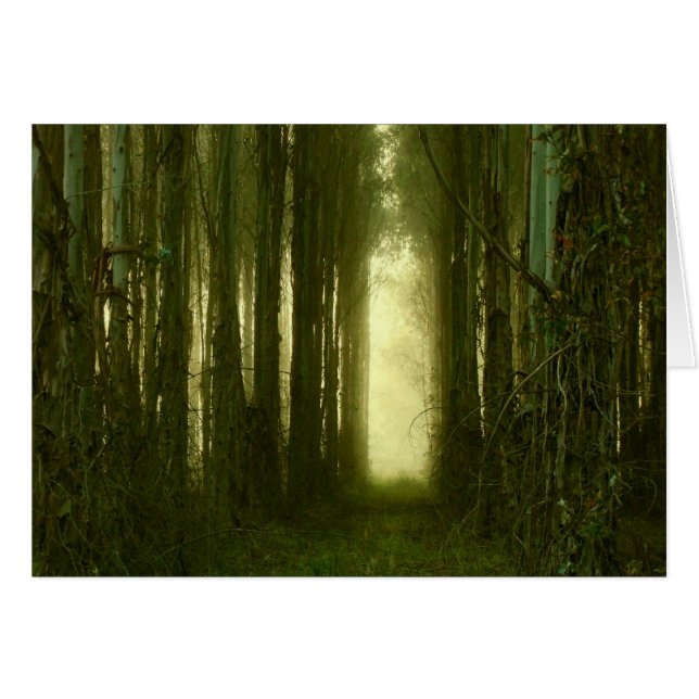 Le chemin vers mon coeur (Devant Horizontal)