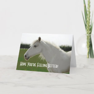 Le cheval blanc obtiennent la carte vierge bonne