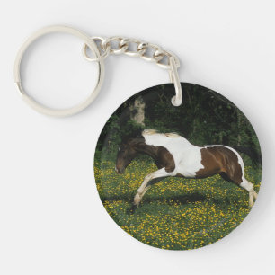Le Cheval de peinture coule dans le champ de fleur