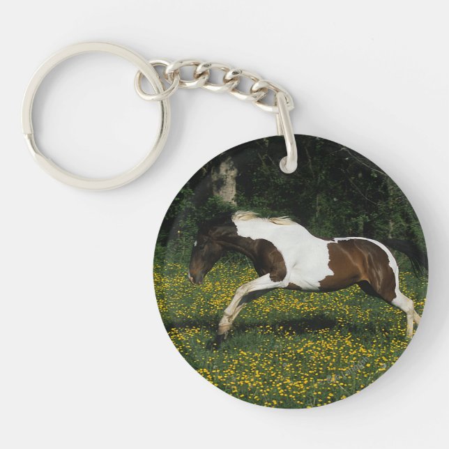 Le Cheval de peinture coule dans le champ de fleur (Devant)