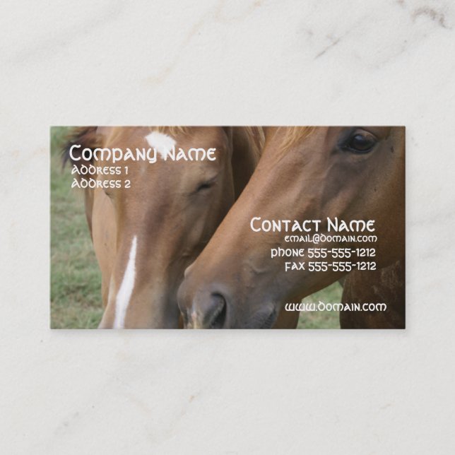 Le cheval poussent du nez le carte de visite (Devant)