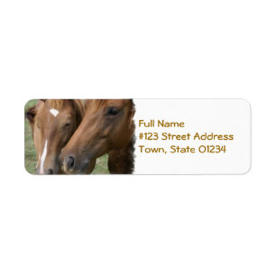 Le cheval poussent du nez l'étiquette postale
