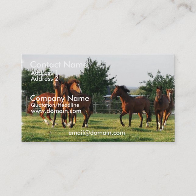 Le cheval sauvage arrondissent le carte de visite (Devant)