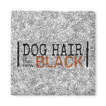 Le Cheveux de chien est le nouvel aimant noir
