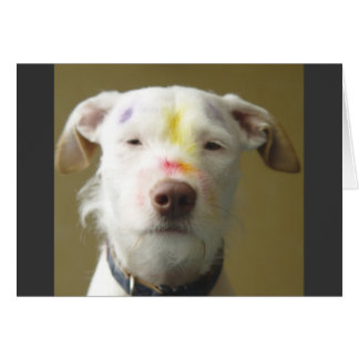 Le chien artistique