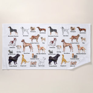 Le chien dactylographie la serviette de plage