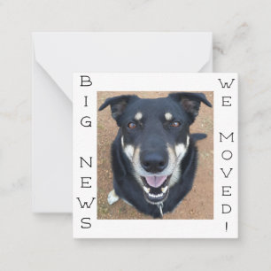 Le chien est parti HEUREUX ! Carte postale