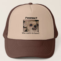 Le Chihuahua paranoïaque garde un Casquette