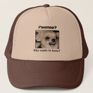Le Chihuahua paranoïaque garde un Casquette