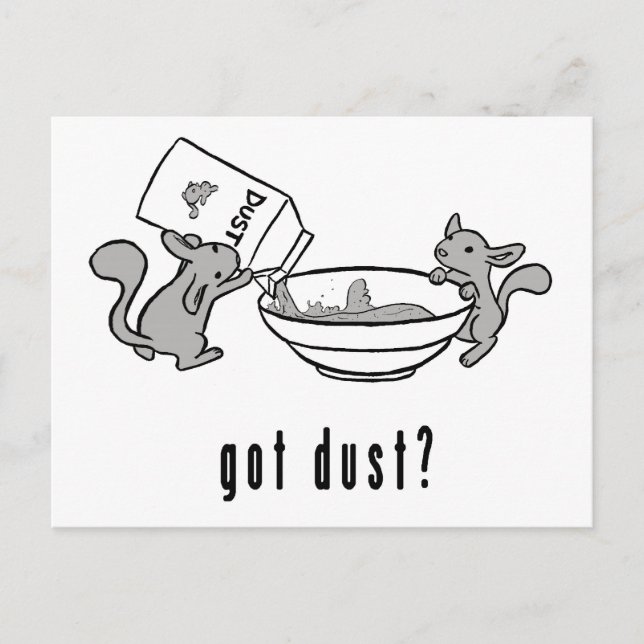 Le chinchilla a obtenu la carte postale de la (Devant)