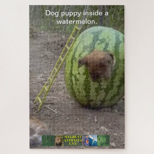 Le chiot à chien dans un puzzle de pastèque. (Vertical)