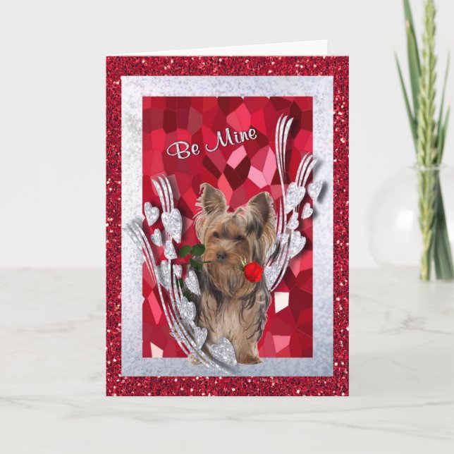 Le chiot masculin de Yorkie soit carte de (Devant)