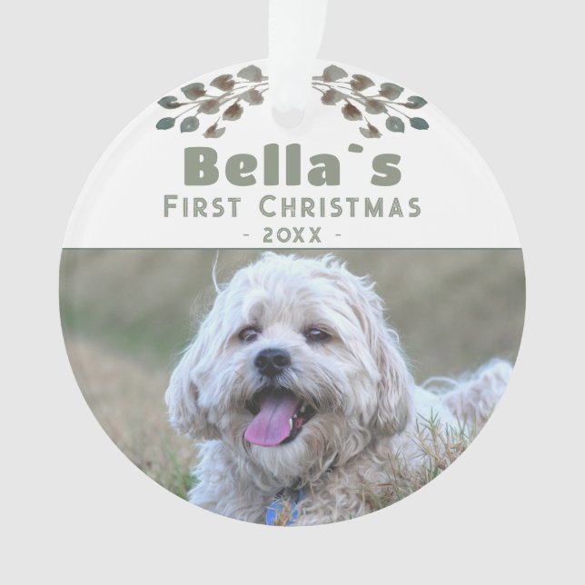 Le chiot mou`s première photo de chien de Noël (devant)