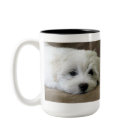 Le chiot observe la tasse faite sur commande