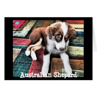 Le chiot Shepard Australien Faites votre propre pe
