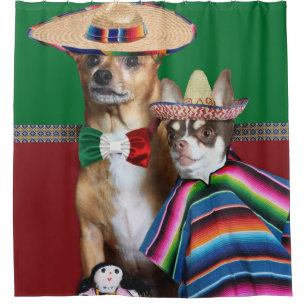 Le chiwawa mexicain poursuit le rideau en douche