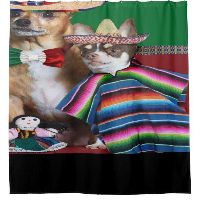 Le chiwawa mexicain poursuit le rideau en douche (Devant)