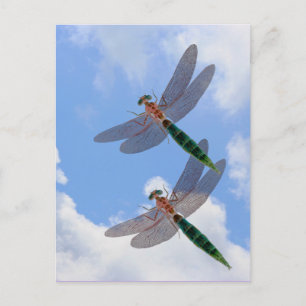 Le ciel bleu de libellules opacifie la carte
